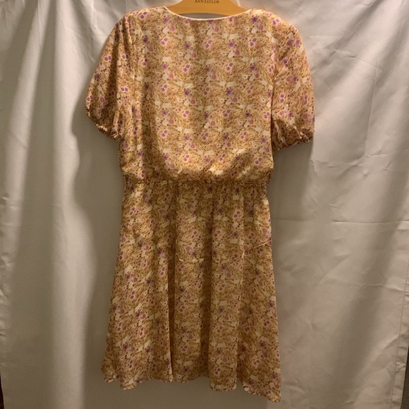 Francesca’s Blue Rain Floral Print Mini Dress XL - Picture 2 of 6